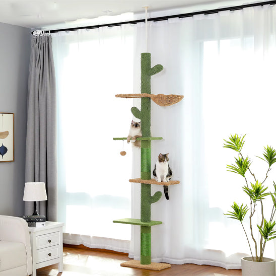 arbre a chat vert robuste chic