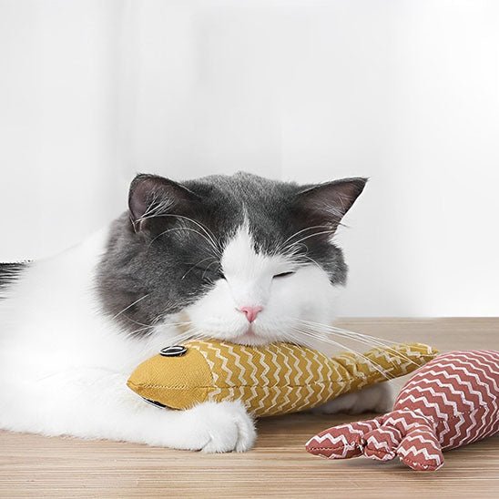 chat jouet qui va égayer les journées de votre félin préféré