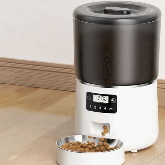 distributeur automatique croquettes chat joli