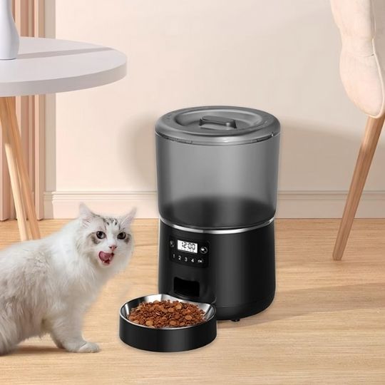 distributeur automatique croquettes chat luxe