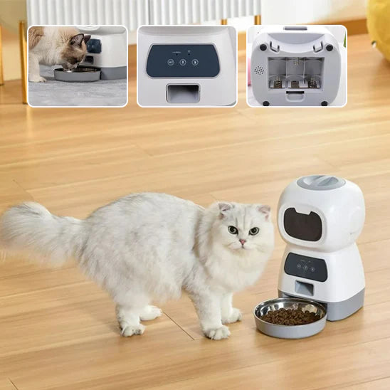 Distributeur Automatique de Croquettes Chat 4 Repas