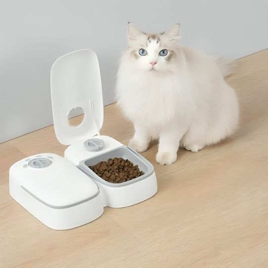 distributeur automatique croquettes chat necessaire