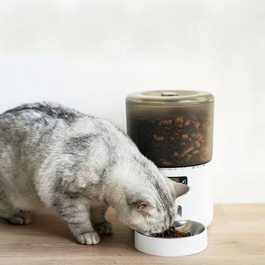 distributeur automatique croquettes chat ravissant