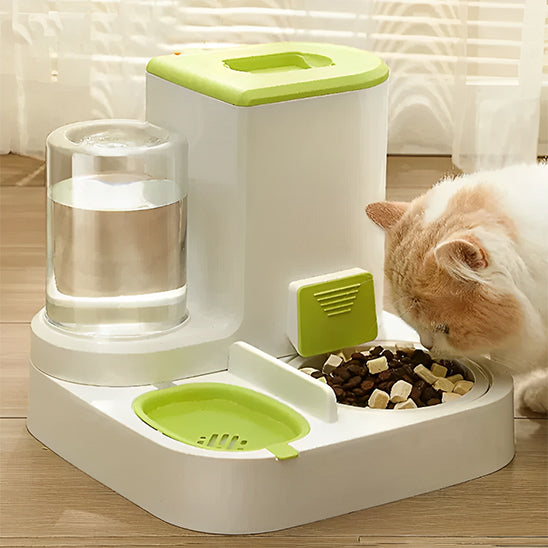 distributeur croquette chat éblouissant