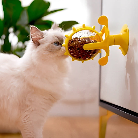 distributeur croquette chat amusant avec un chat
