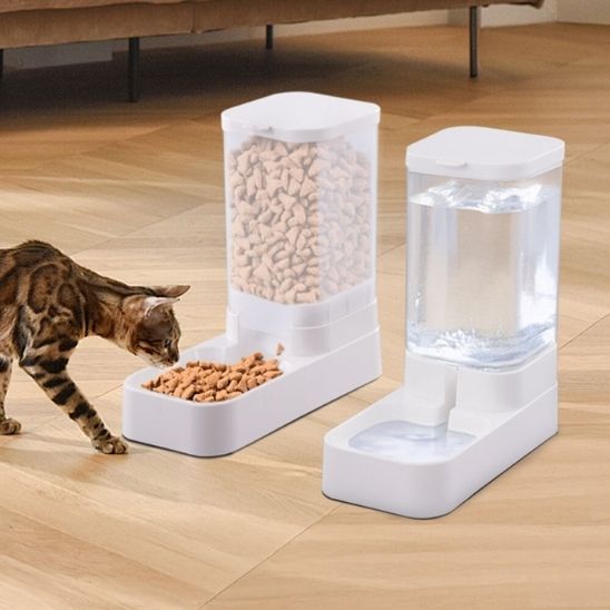 distributeur croquette chat blanc avec chat