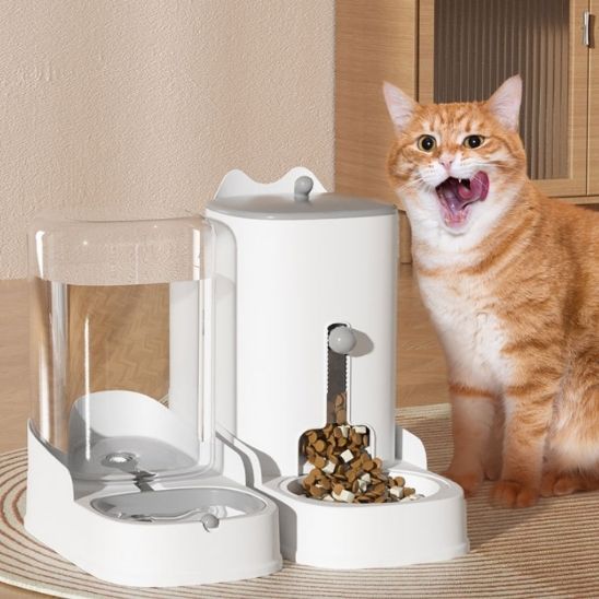 distributeur croquette chat capital