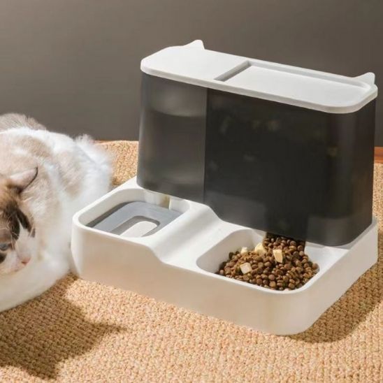 distributeur croquette chat essentiel