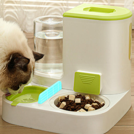 distributeur croquette chat majestueux et essentiel