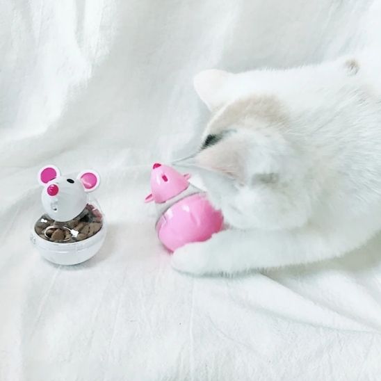 distributeur de croquettes pour chat distrayant