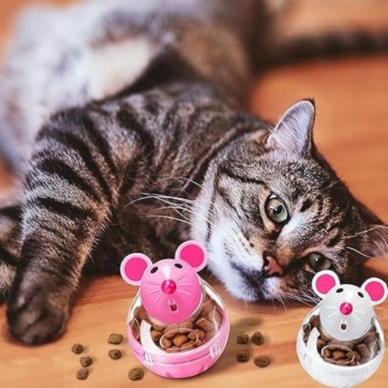 distributeur de croquettes pour chat divertissant