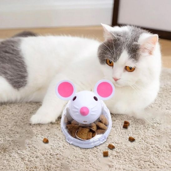 distributeur de croquettes pour chat marrant