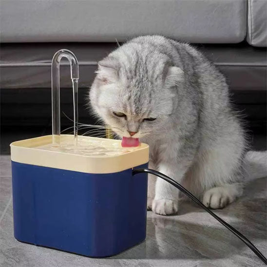 fontaine a eau chat abreuvoir