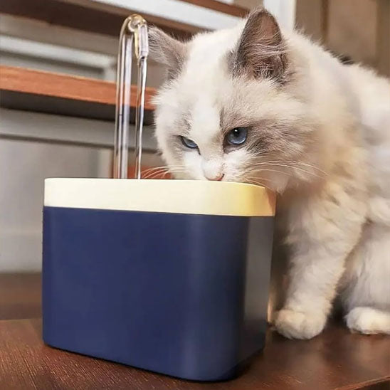 fontaine a eau chat hydratante chat blanc