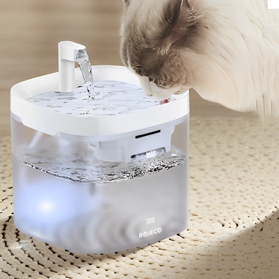 fontaine a eau pour chat avec chat blanc qui boit