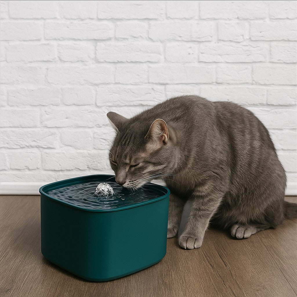 fontaine a eau pour chat avec chat gris et fontaine