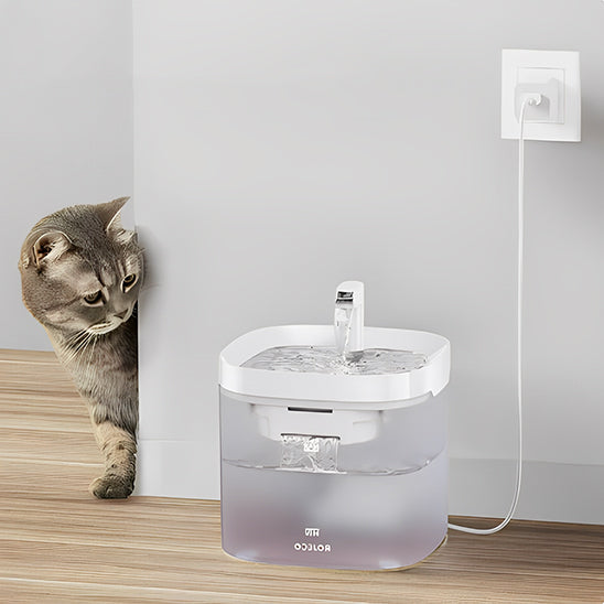 fontaine a eau pour chat avec un chat curieux