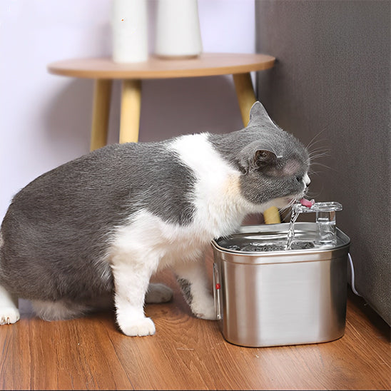 fontaine a eau pour chat luxueuse