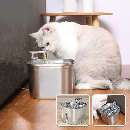 fontaine a eau pour chat ravissante et efficace
