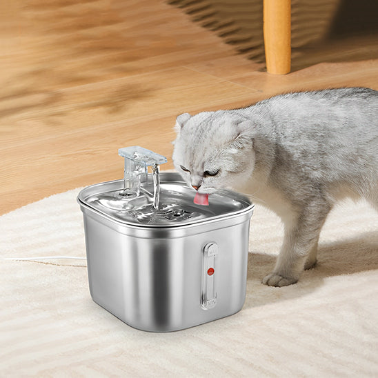 fontaine a eau pour chat remarquable