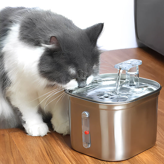 fontaine a eau pour chat sublime