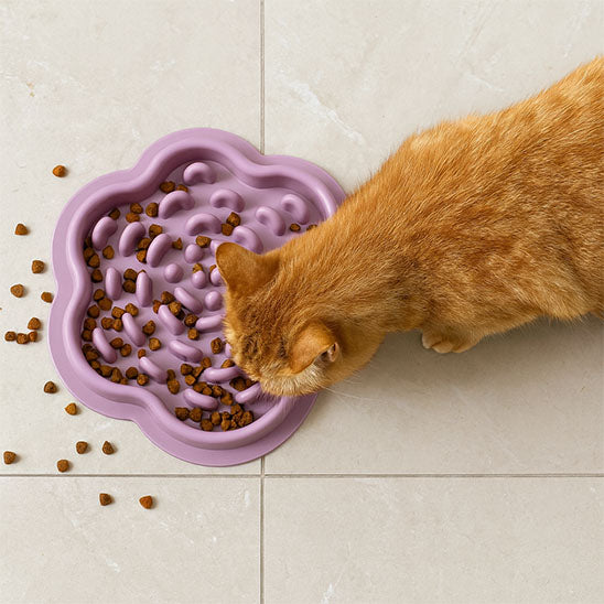 gamelle anti glouton chat mignonne et pratique