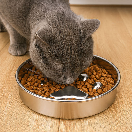 gamelle anti glouton chat rigide et efficace