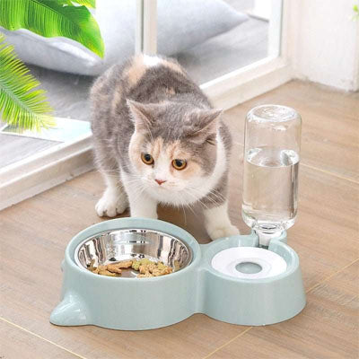 gamelle chat innovante grise avec chat gris