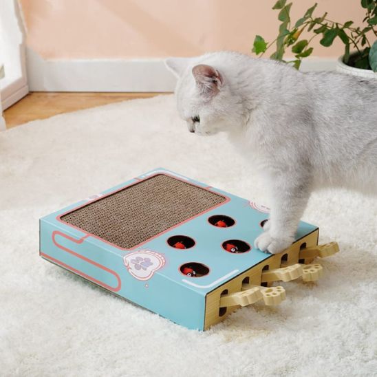 grattoir chat boite innovante et amusante