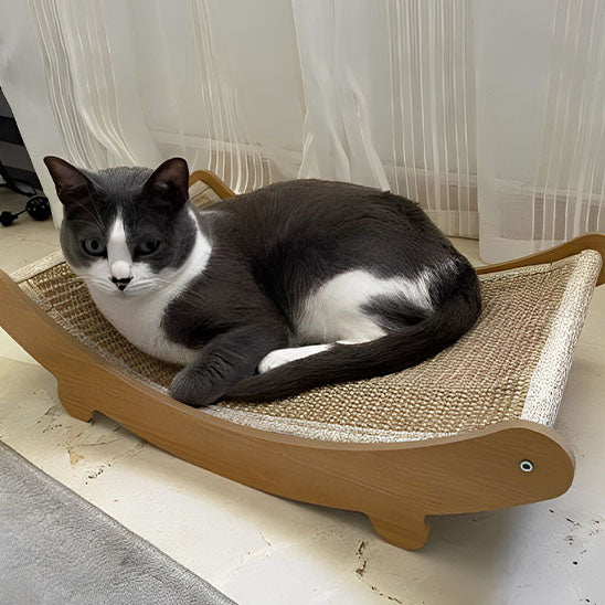 grattoir chat innovant pour tous les chats