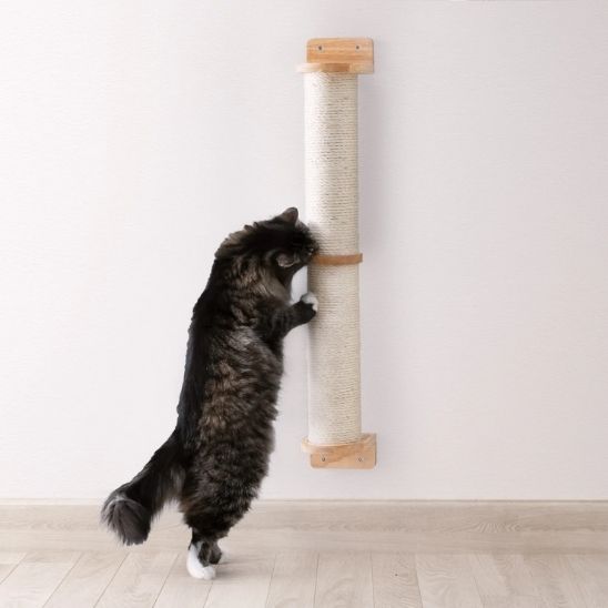 grattoir chat majustueux et elegant