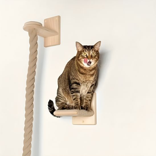 griffoir a chat corde pour tous les chats