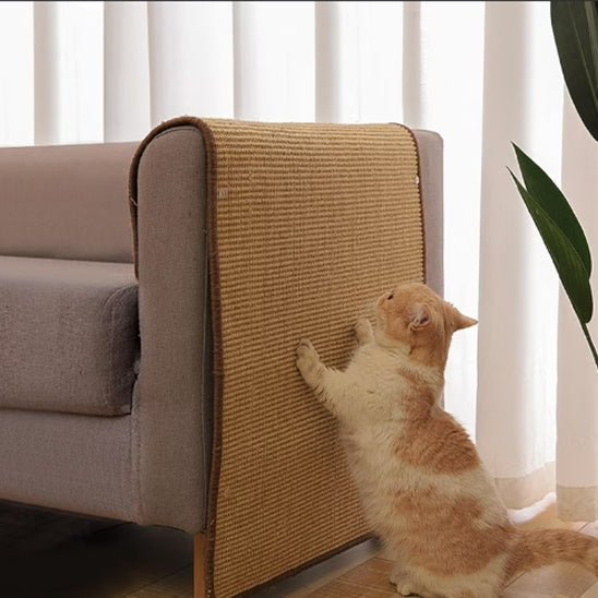 griffoir pour chat ultime pour votre félin préféré