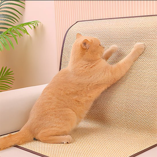 griffoir pour chat ultime pour votre félin préféré