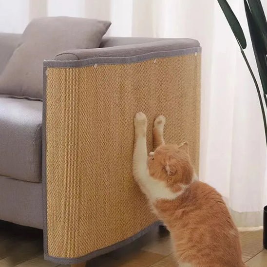 griffoir pour chat ultime pour votre félin préféré