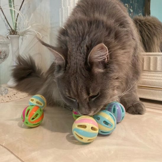 jeu pour chat chat boule jaune