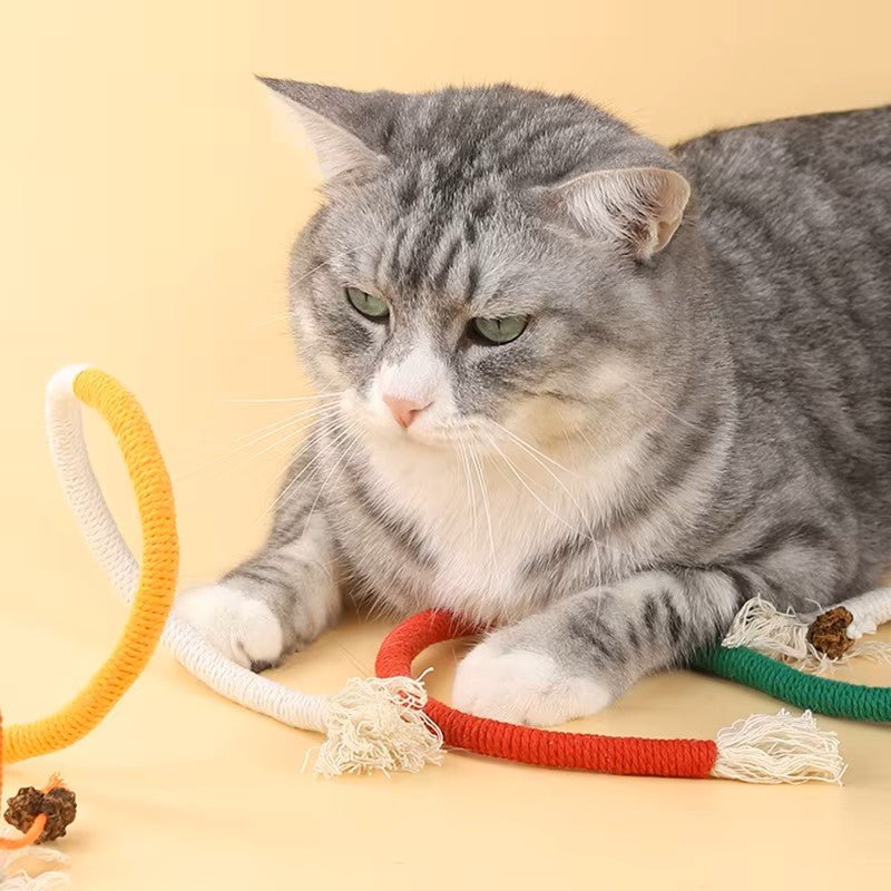 Jeu pour chat | Féli'Corde™ - Mon Jolie Chat