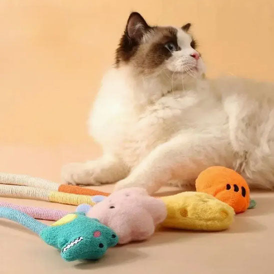 jeux chat avec chat blanc et noir vert