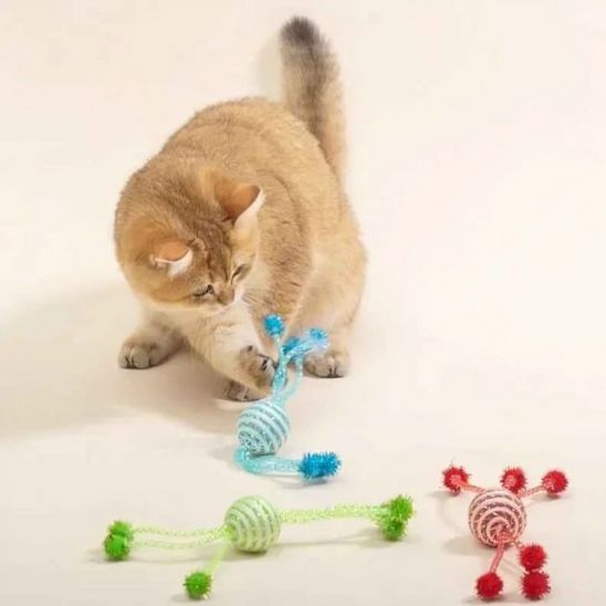jeux pour chat boule captivante