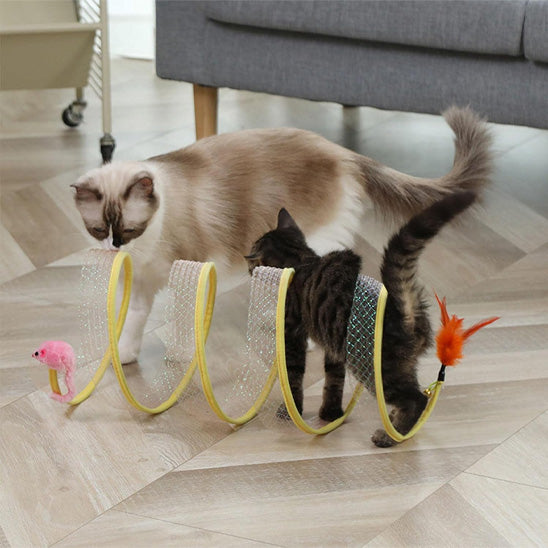 jeux pour chat spirale innovante