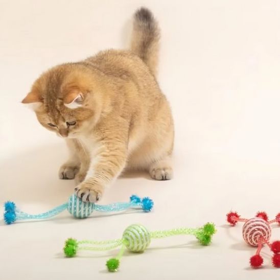 jeux pour chat style araignee