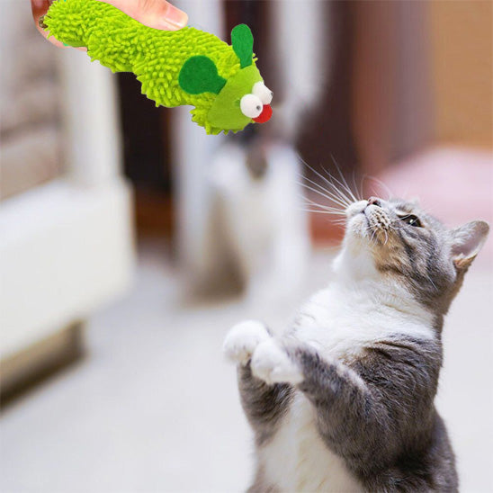 jouet chat chenille divertissante