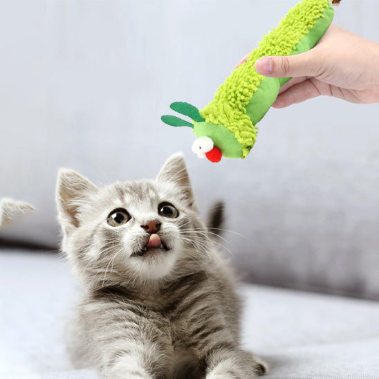 jouet chat chenille innovante