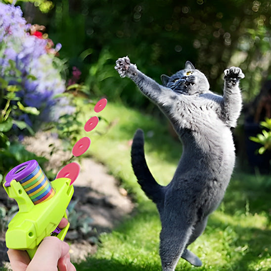 jouet chat disque amusant