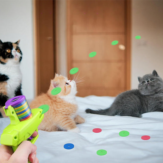 jouet chat disque