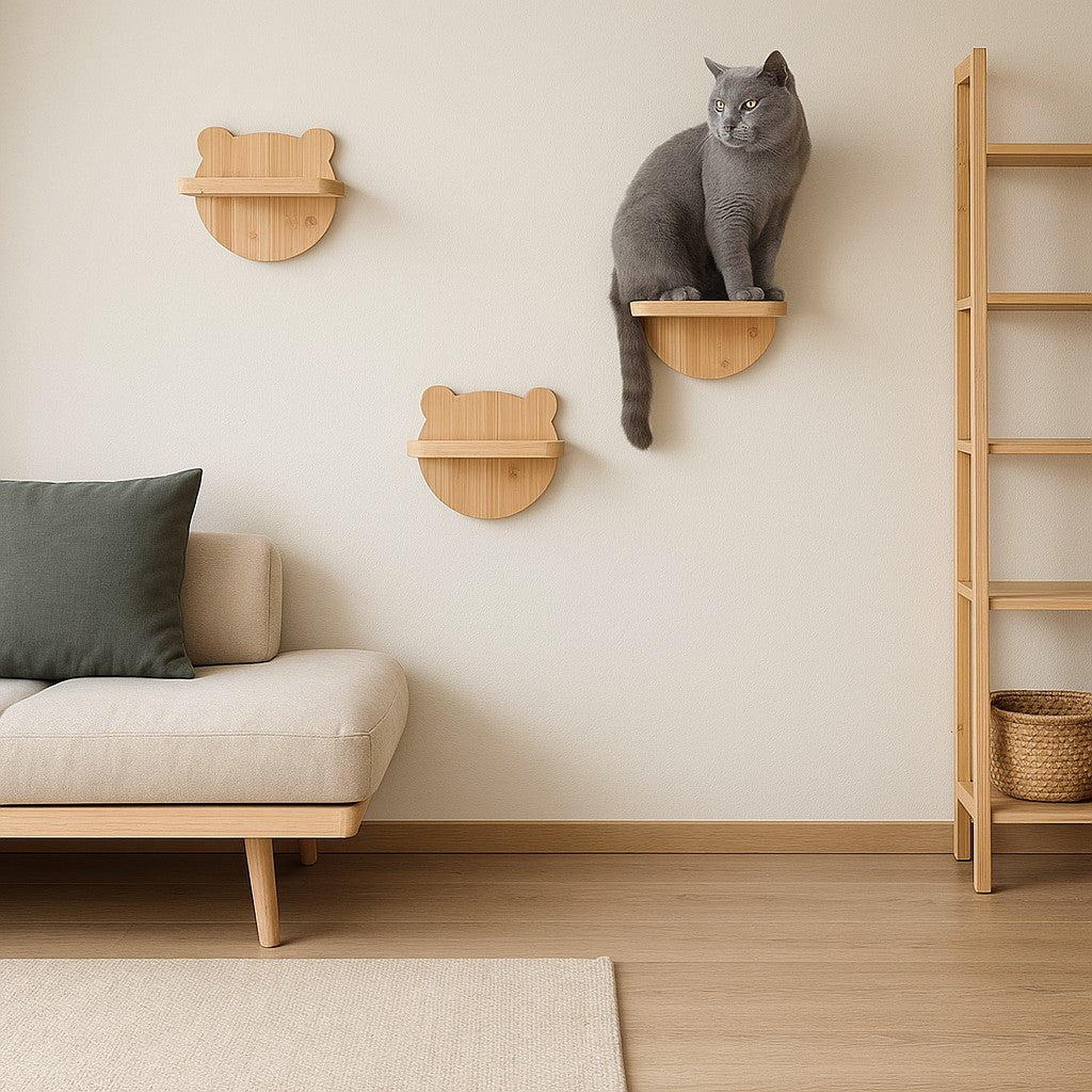 parcours mural chat avec chat gris