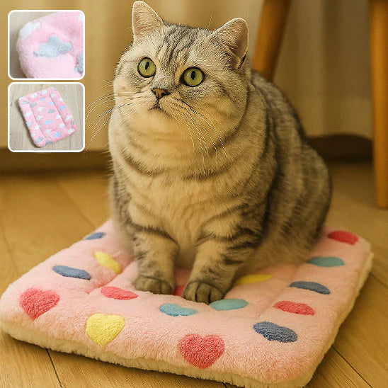 Tapis pour chat gris en peluche, 70 x 50 centimĂštres