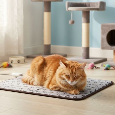 tapis pour chat de couleur gris avec motif de pattes avec un chat roux qui dort confortablement dessus