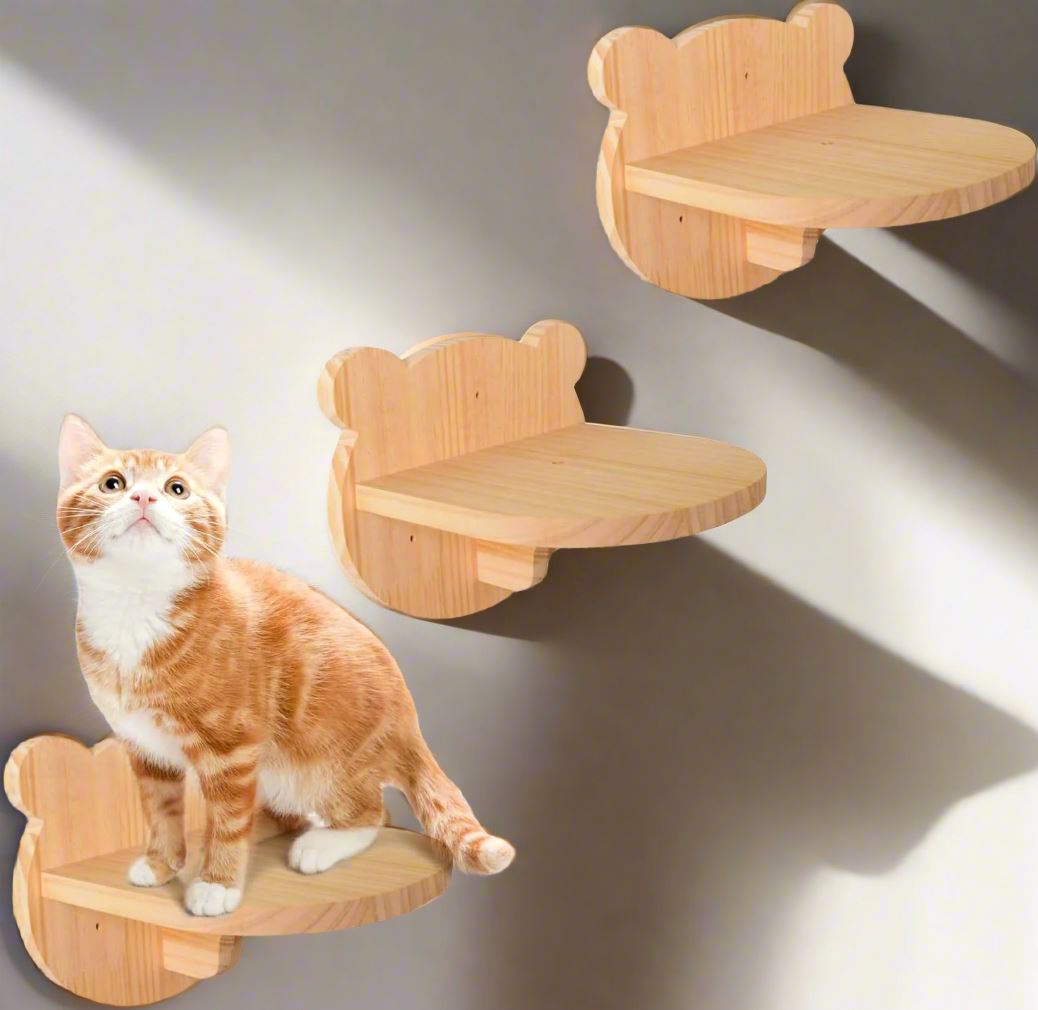 ClimbCat™ - Visage Du Chat - Mon Jolie Chat