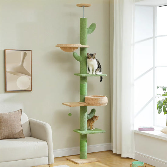 arbre a chat cactus vert chic